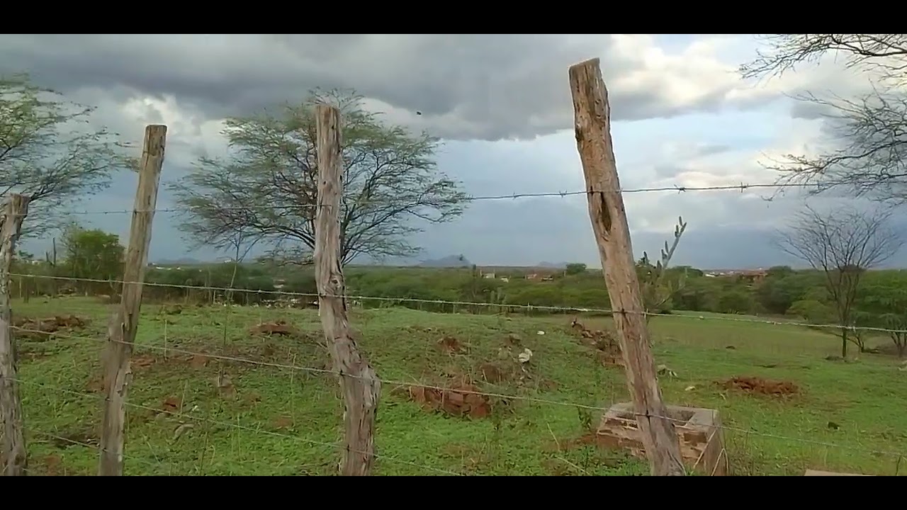 A natureza e maravilhosa só deuz