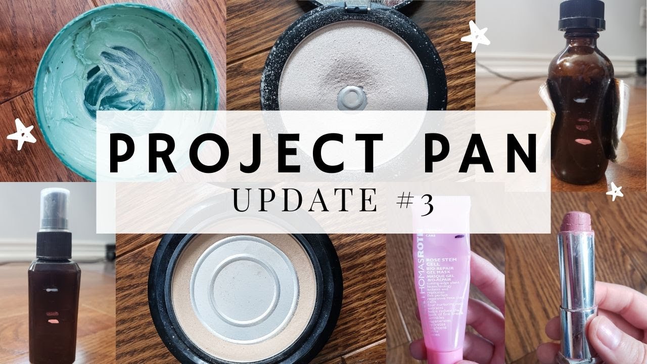 Project Pan Update | May 2020