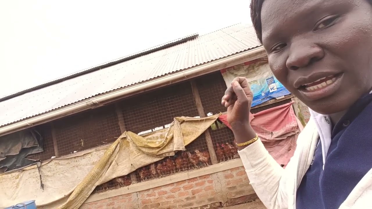 HOW I CONSTRUCTED MY POULTRY HOUSE 