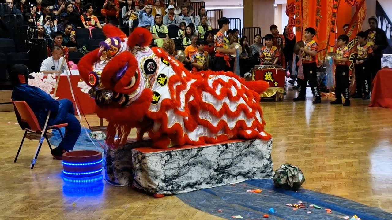 🥉Lion Dance by Manchester Chi Mo Kung Fu & Dragon Lion Dance |曼城智武國術會| UK Lion Dance Tournament 2024