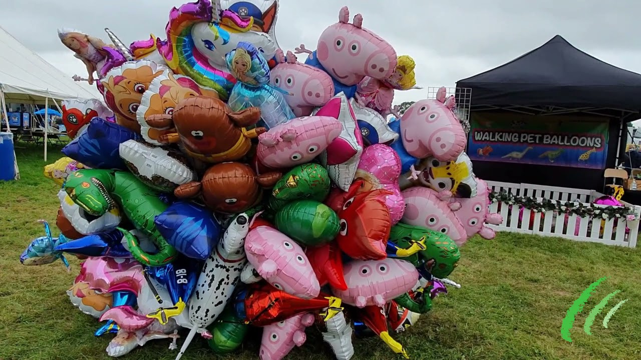 Gillingham and Shaftesbury Show 21