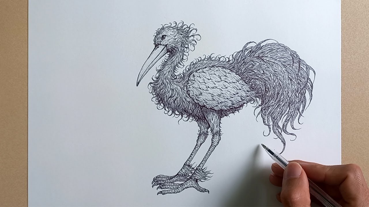 How to Draw a Graceful Bird