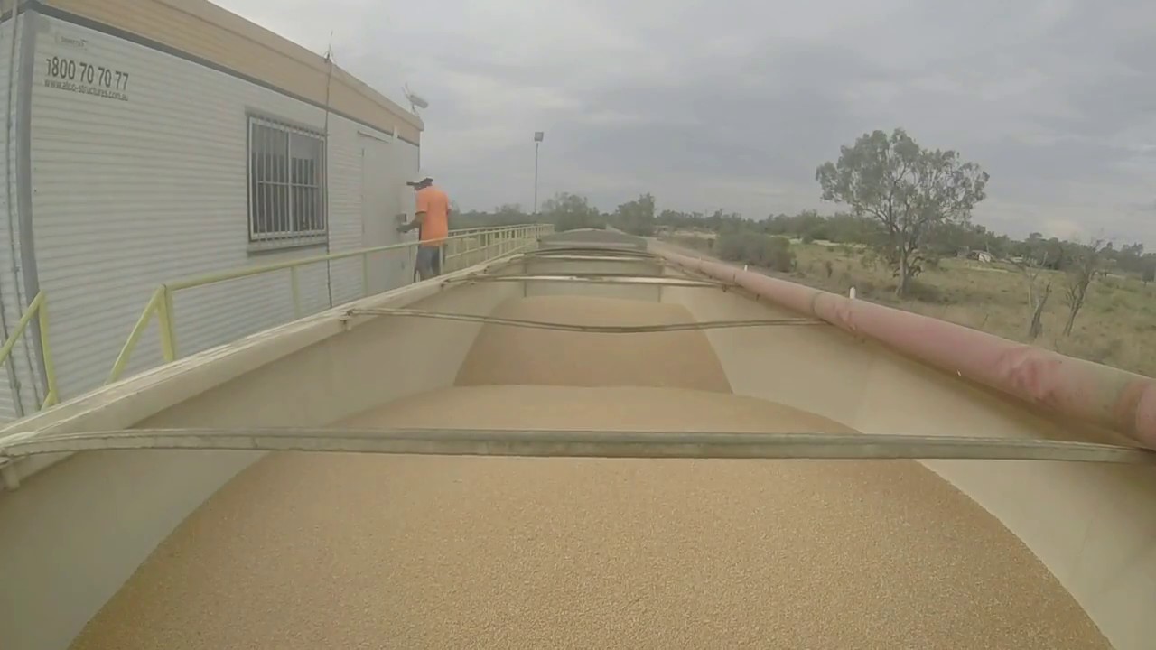 Harvest 2015