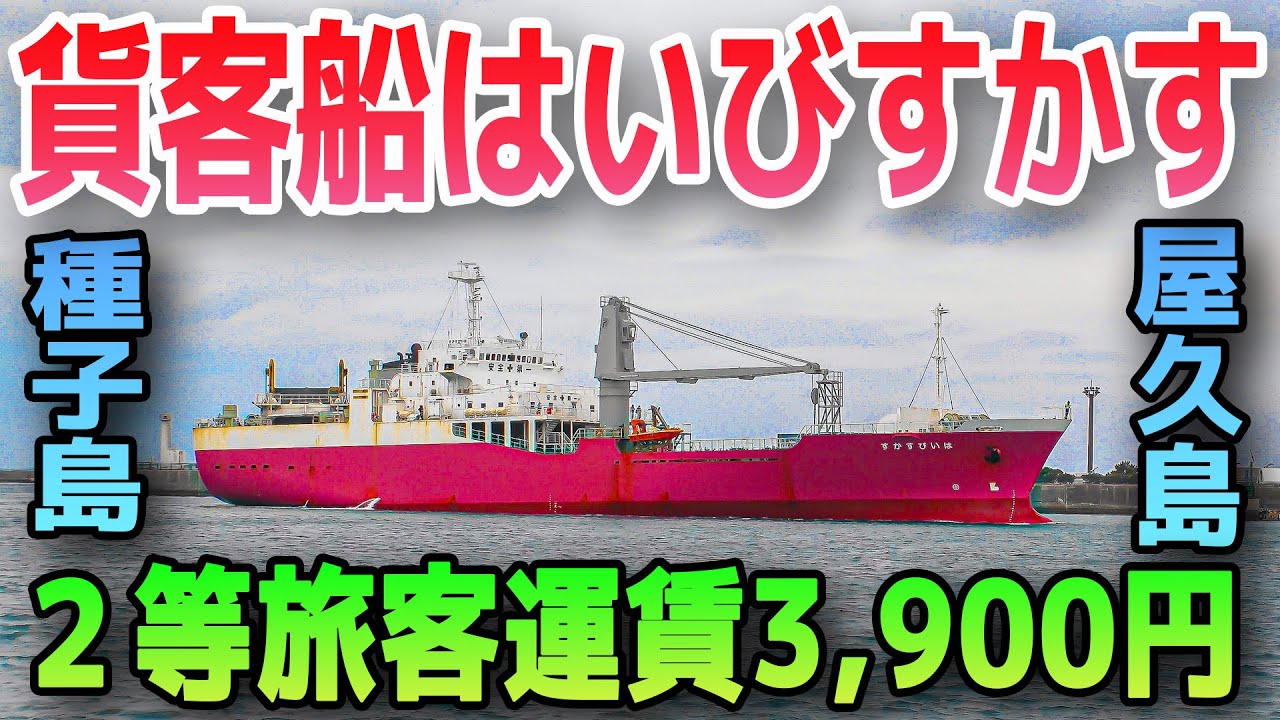 【船旅】鹿児島→屋久島・種子島を結ぶ貨客船【はいびすかす】☆鹿児島(谷山港)→屋久島(宮之浦港) → 種子島(島間港)☆南の島への格安航路！優雅で快適な設備は一切なし！無骨な貨客船での船旅！