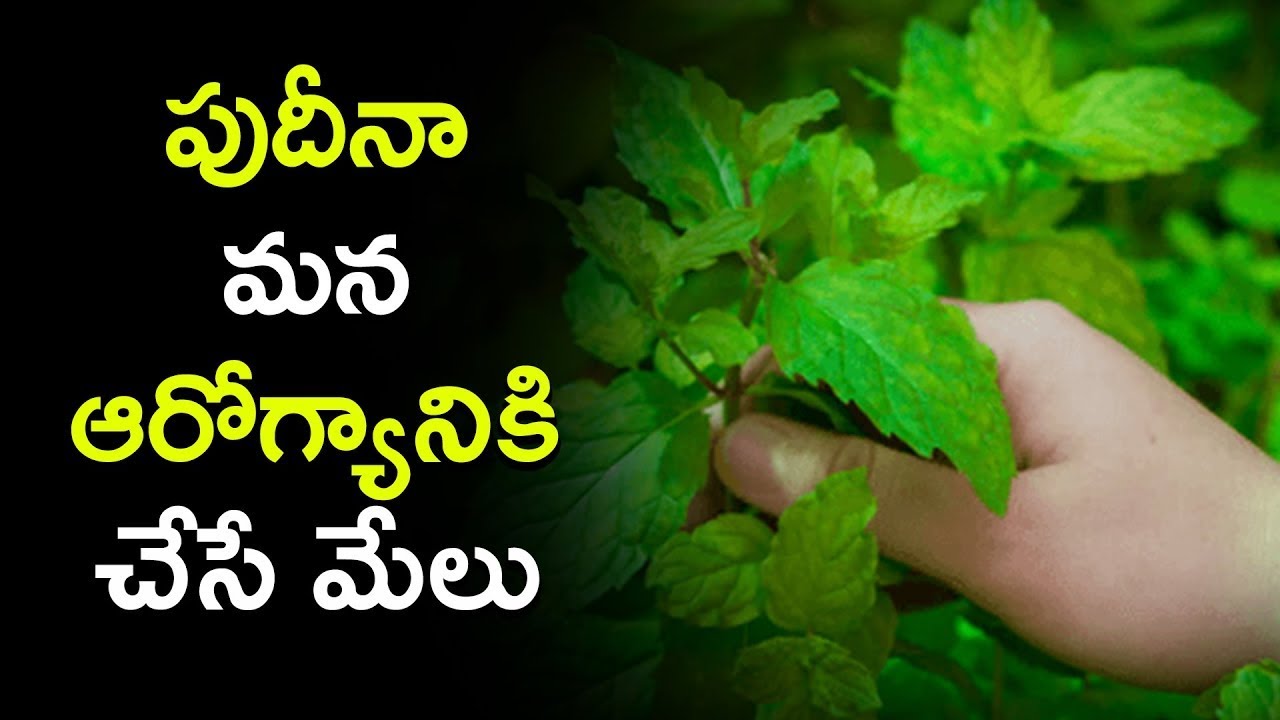 Mint Leaves Benefits | Health Tips in Telugu | Allergy Treatment at Home | How to Healthy