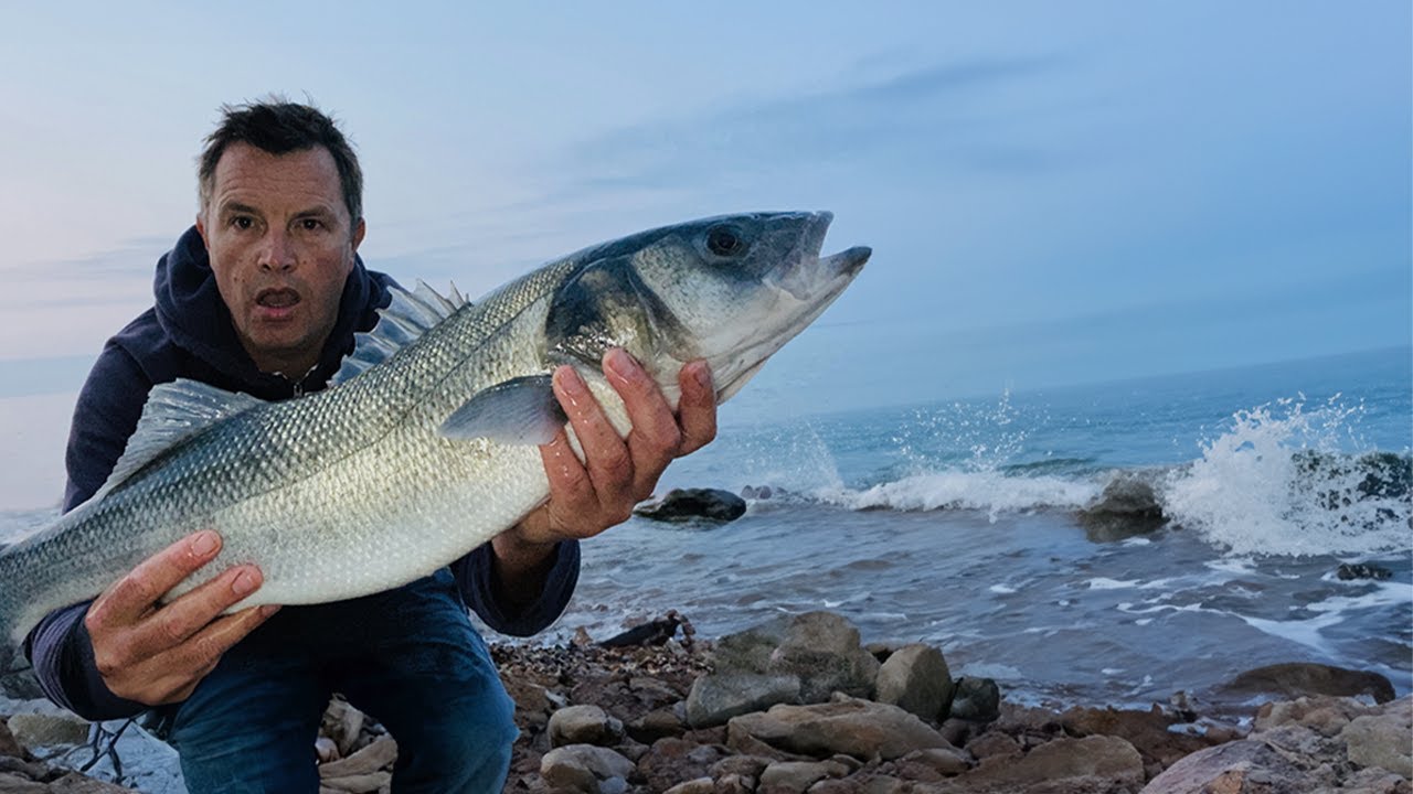 amazing catch just 3ft out !