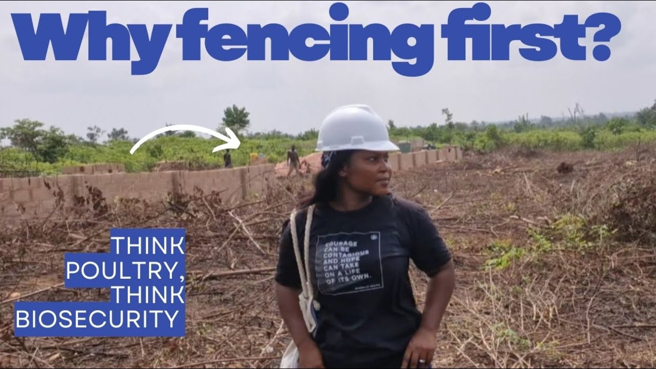 Why Fencing Is the First Thing We’re Doing on Our New Poultry Farm
