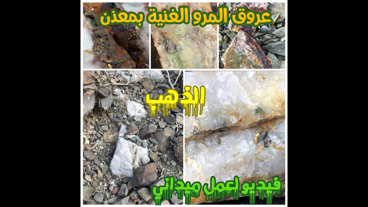 عروق الكواتز او المرو الحاملة للذهب مئة بالمئةgold in vien quartz