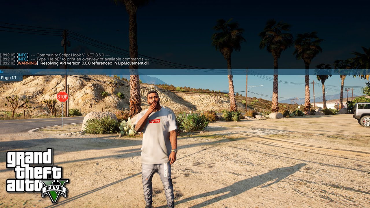 How to Disable the command window after installing Script Hook V Dot Net in GTA 5