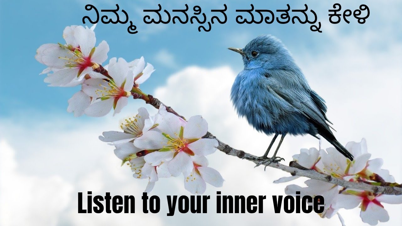 ನಿಮ್ಮ ಮನಸ್ಸಿನ ಮಾತನ್ನು ಕೇಳಿ - Listen to your inner voice