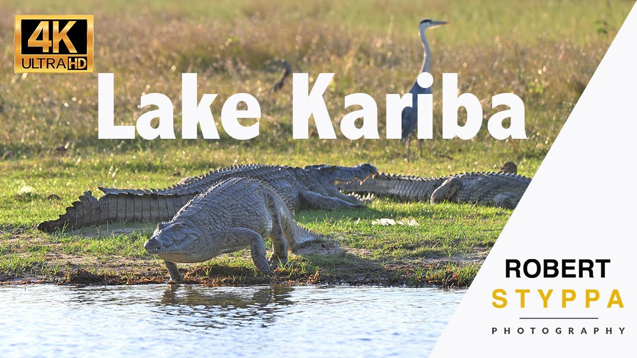 LAKE KARIBA (ZIMBABWE) Wild Wonders of Lake Kariba NP in Zimbabwe: Exploring Wildlife Heaven
