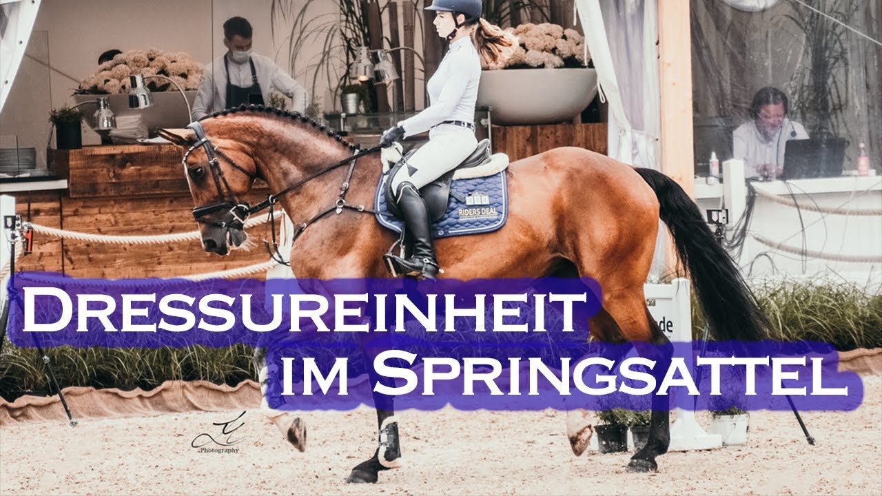 KOMPLETTE Dressurstunde mit Püppi kommentiert | XXL Trainingsvideos