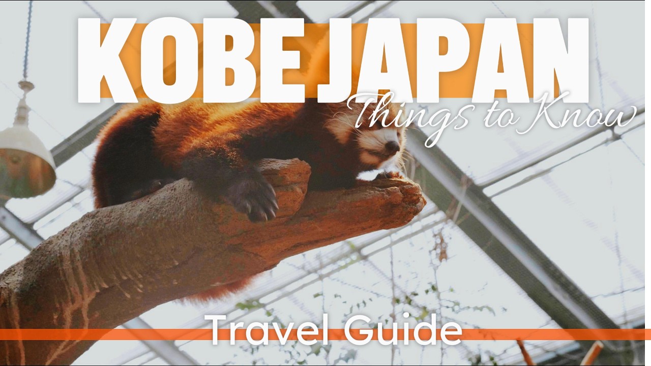 Kobe Animal Kingdom: A Unique Wildlife Experience in Japan