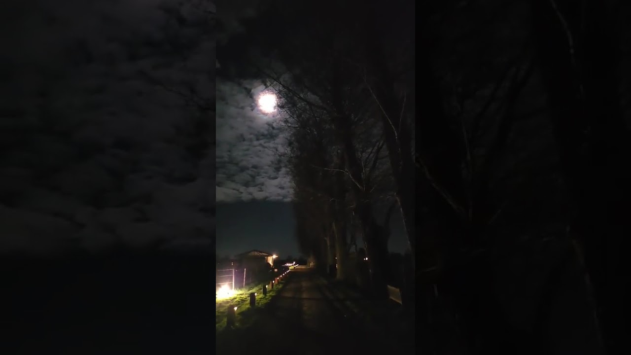 🐴🌙 Mondschein-Ritt & Paul auf Nachtmission