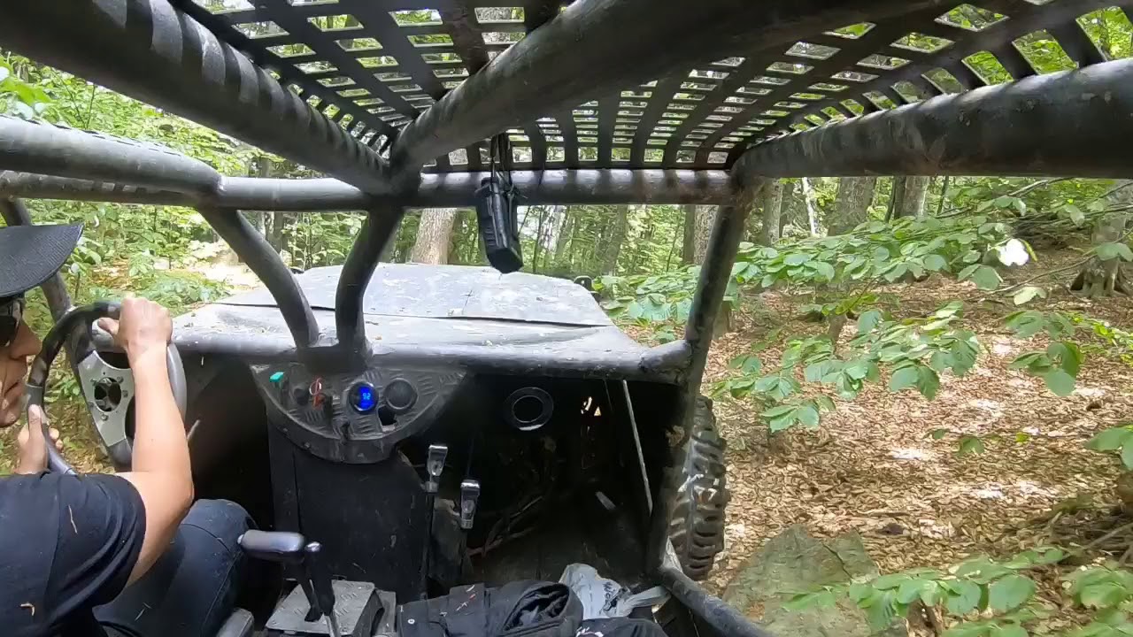 A Forrest Ride with Fundomas