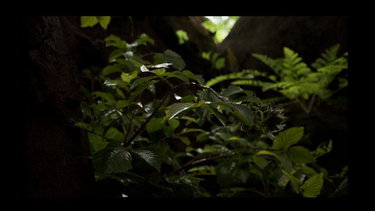 Terrarium Speed Art | Unreal Engine 5