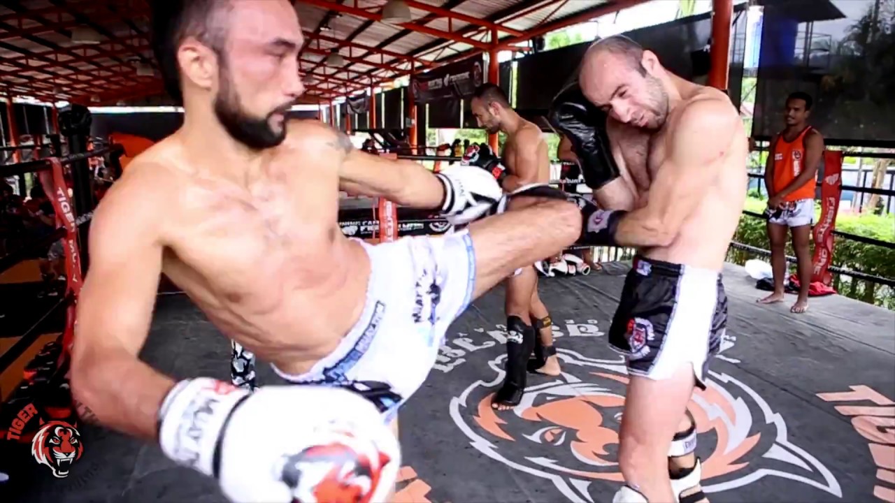 Muay Thai Sparring