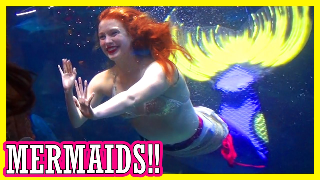 THE MERMAIDS ARE COMING!!  | REAL LIFE MERMAIDS!! |  KITTIESMAMA