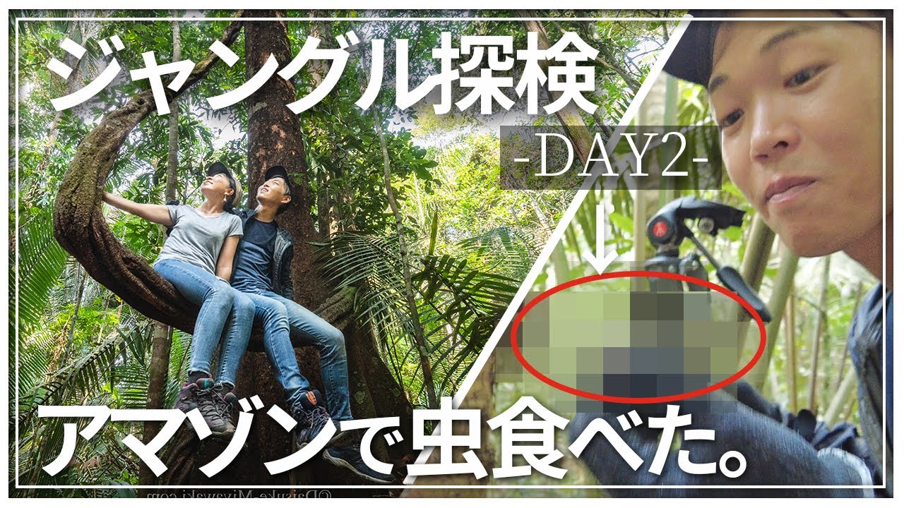 アマゾン潜入！ジャングル探検したら破茶滅茶だった。笑　マナウスアマゾンツアー2日目｜ブラジル旅行Vlog