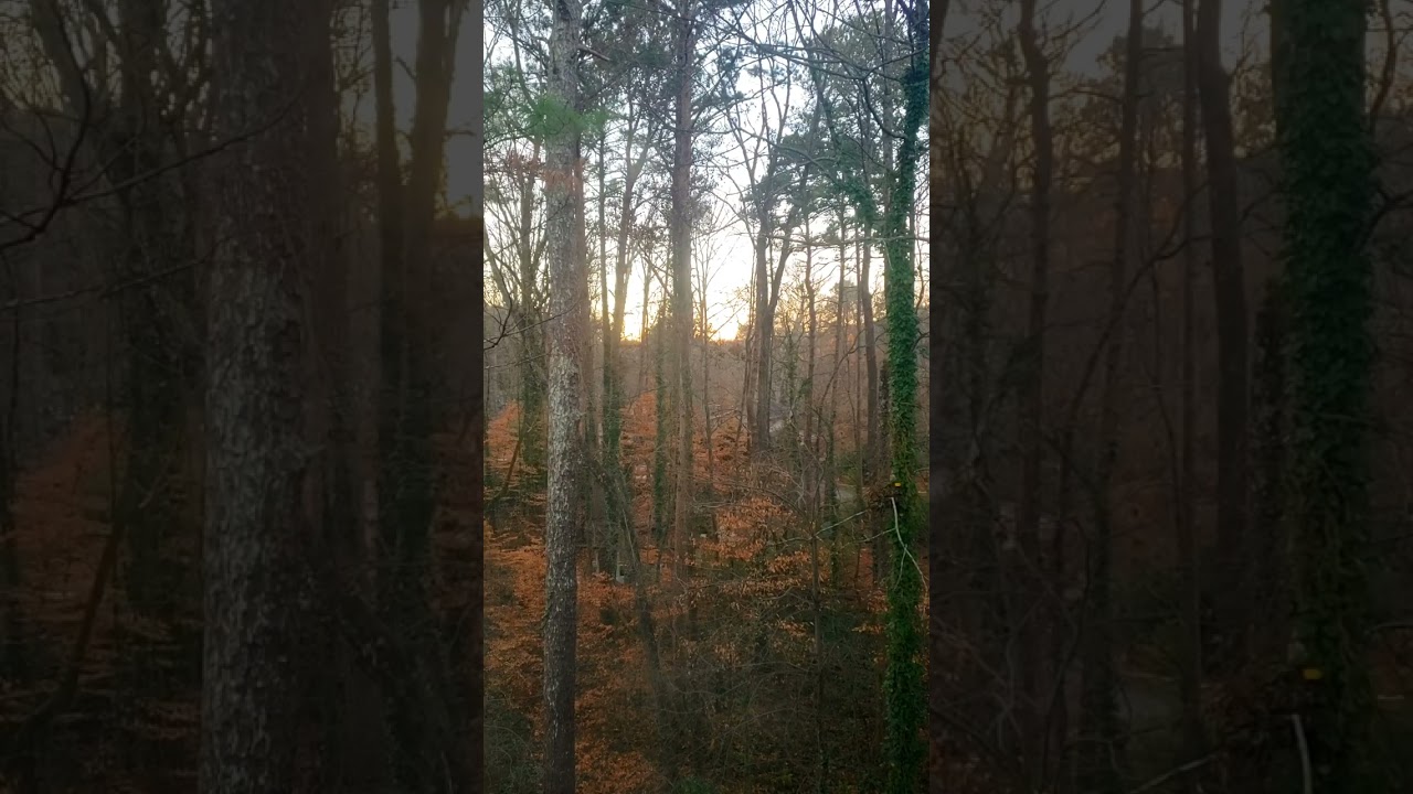 Visual ASMR: Sunrise 1