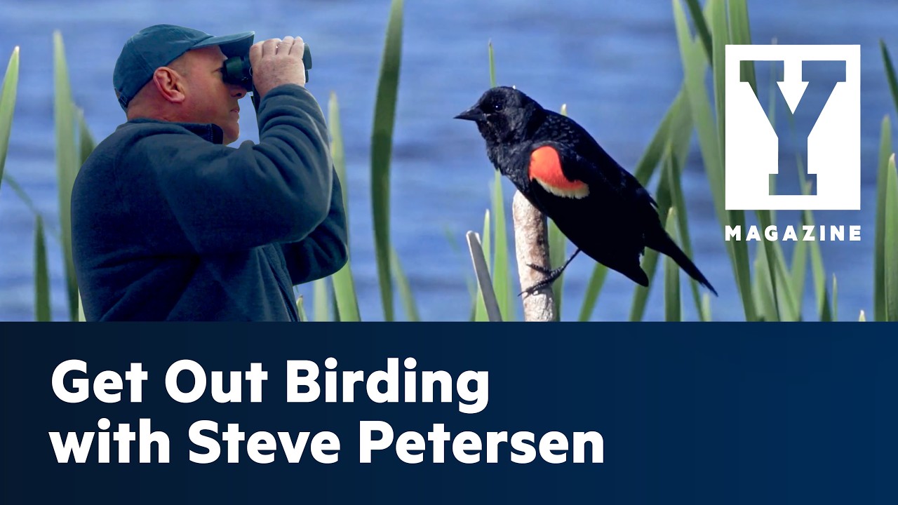 Birding with BYU Professor Steve Petersen