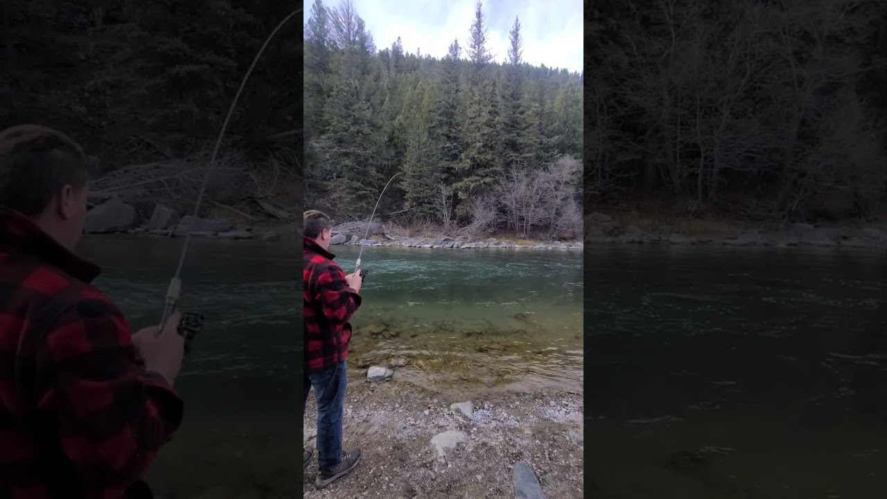 Bucklist River #fishing #camping #familyvlog #explore #survival #explorethewild #hunting #wilderness