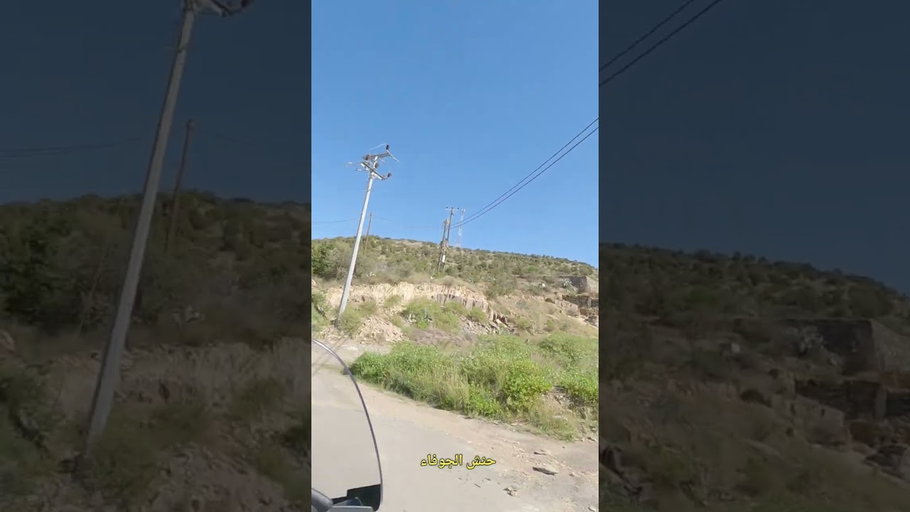 147- حنش الجوفاء