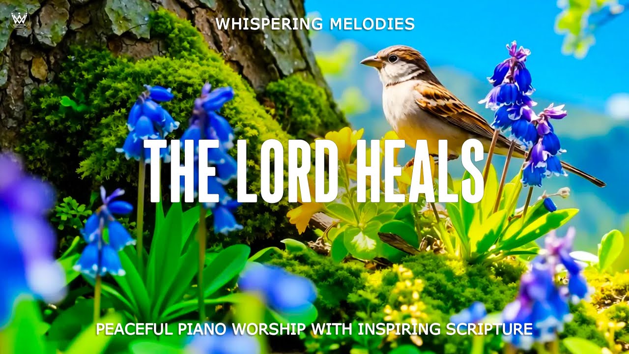 THE LORD HEALS | Peaceful Piano Worship & Prayer with Scriptures & Birds Scenes