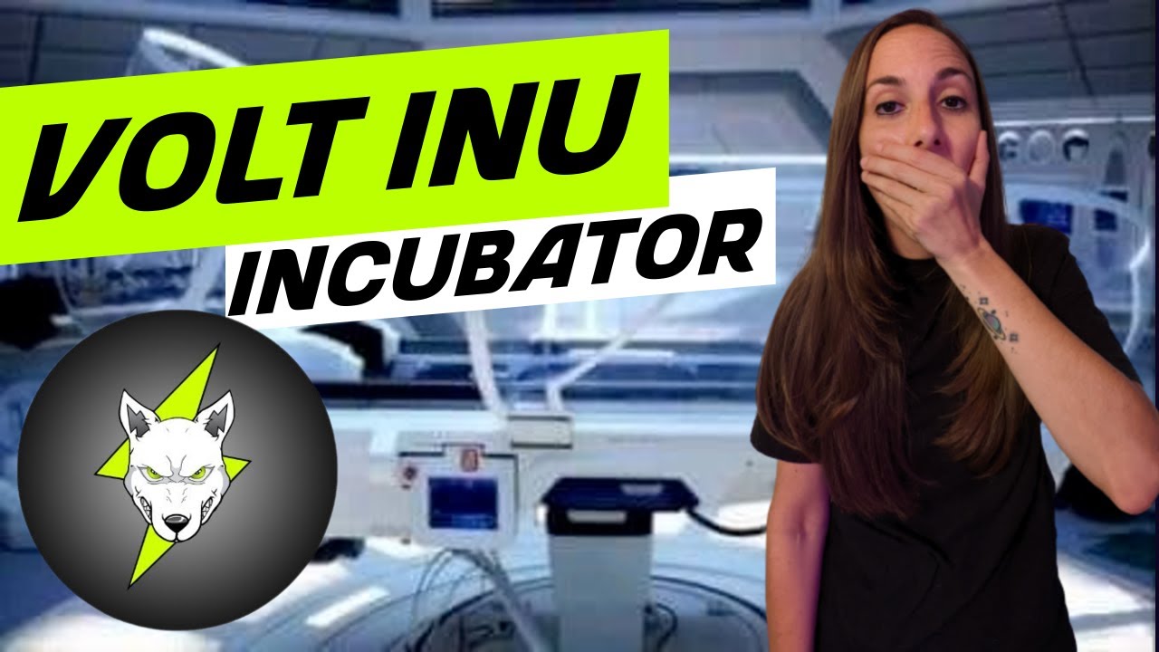 VOLT INU INCUBATOR & UPDATES 06/25