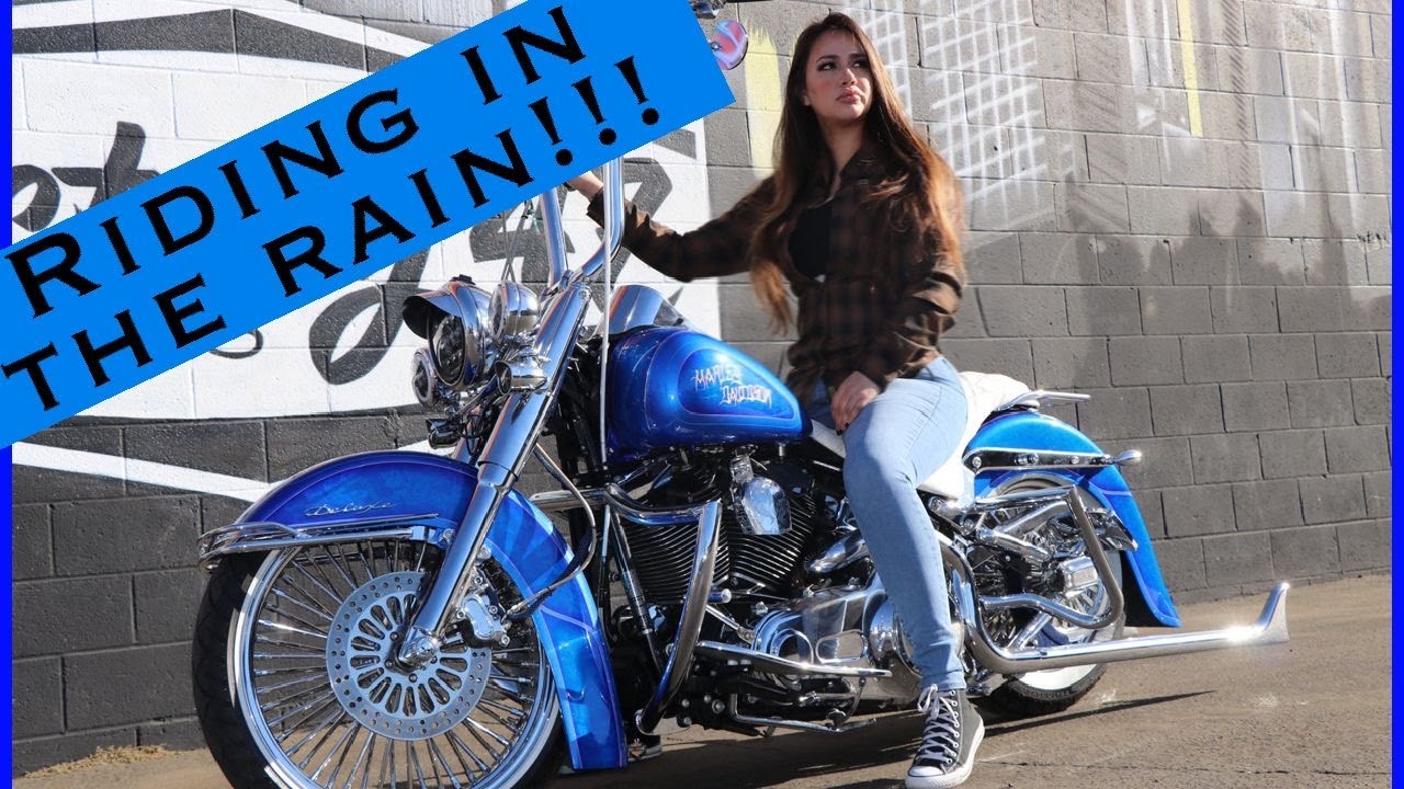 Riding my gangster softail deluxe