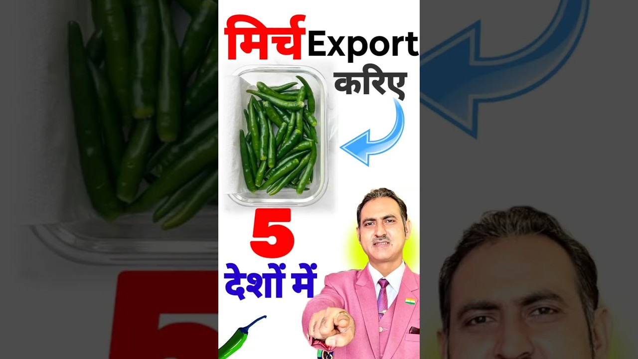 Green chilli export to dubai I Chilli Export #export #chilli #shorts