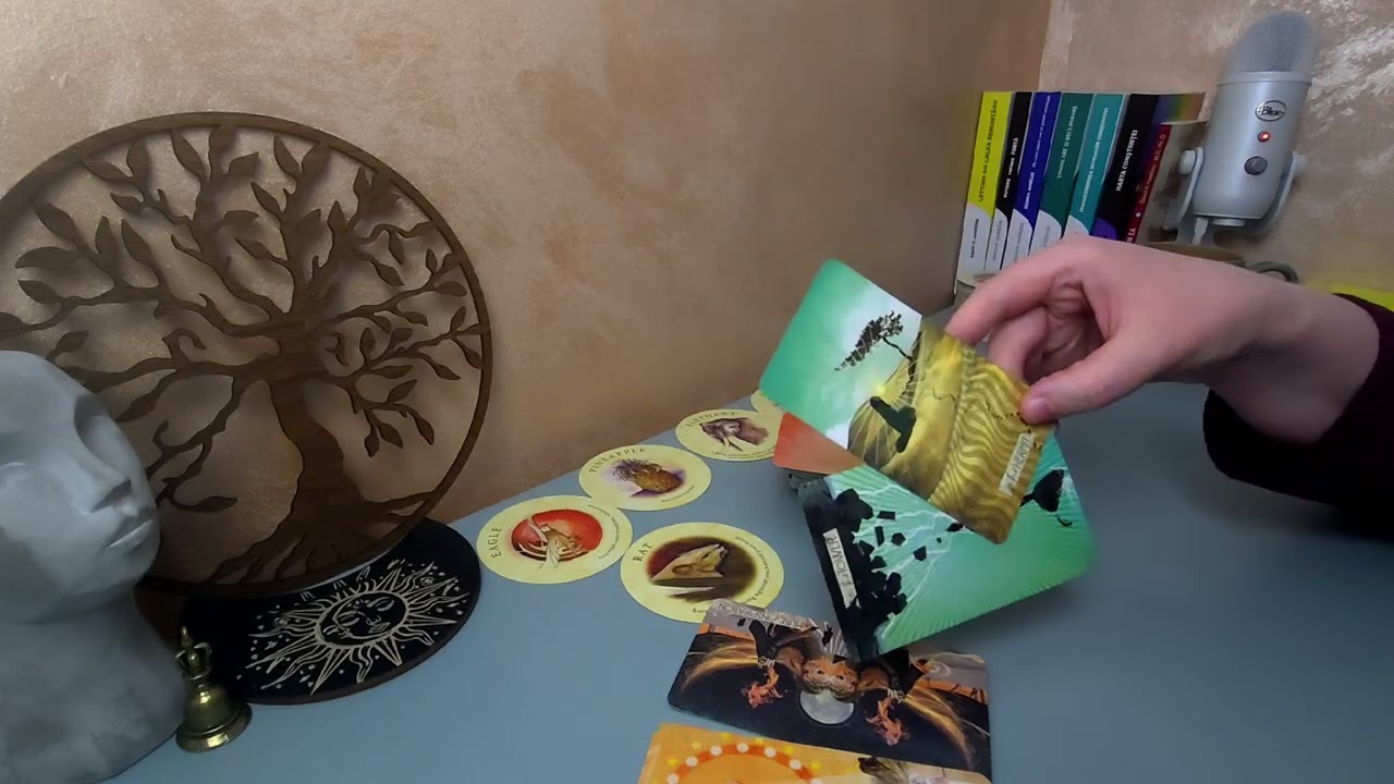 Draga mea,pentru acei👀curioși care și-au luat loc în sala ta,fără bilet, fă-i să nu te uite😉✨️🦁