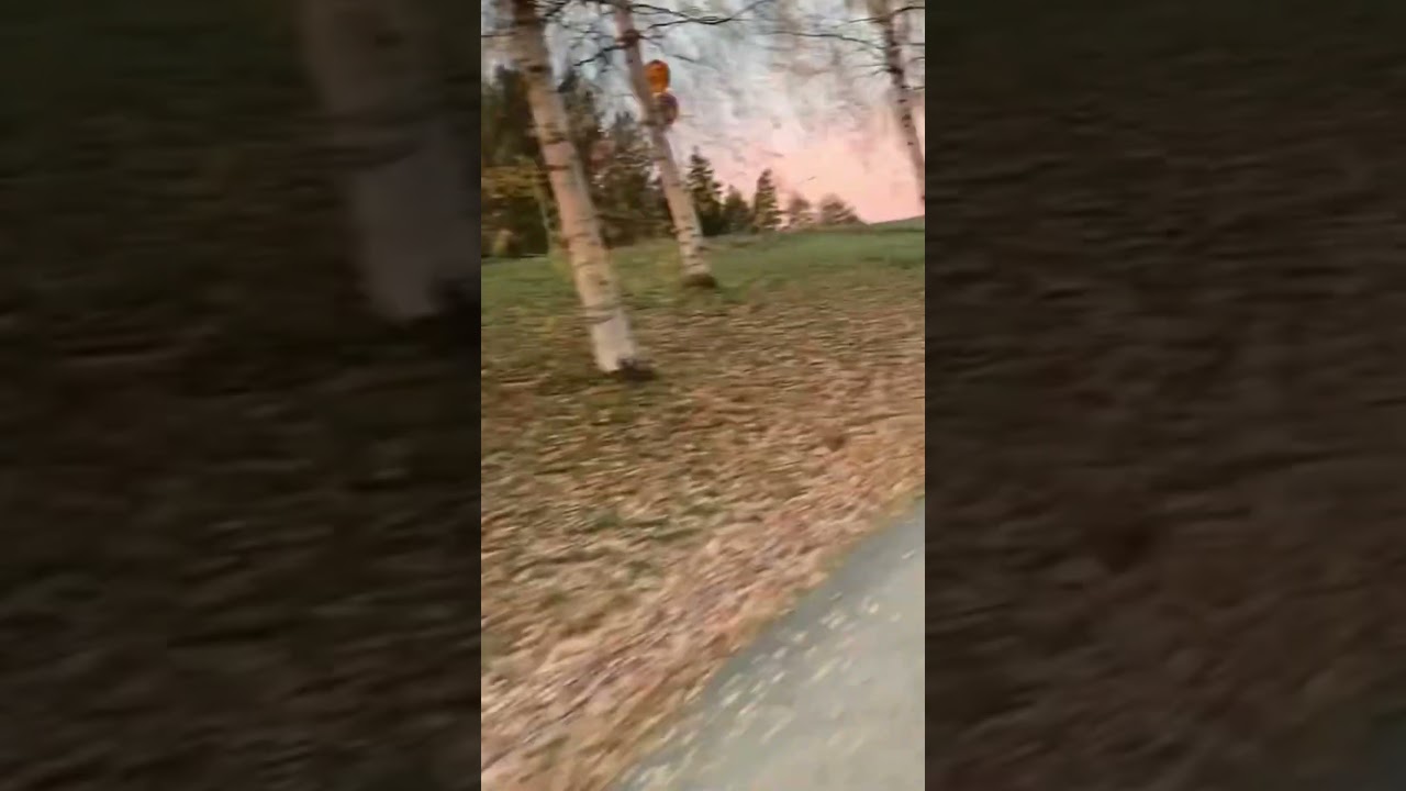 Beta 