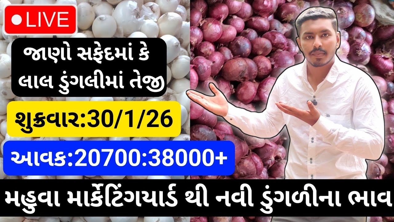 મહુવા થી લાલ અને સફેદડુંગળીના ભાવ🔥| 30/1/26 | White & Red Onion Market Rate Today💸| लाल ओर सफेद भाव🧅