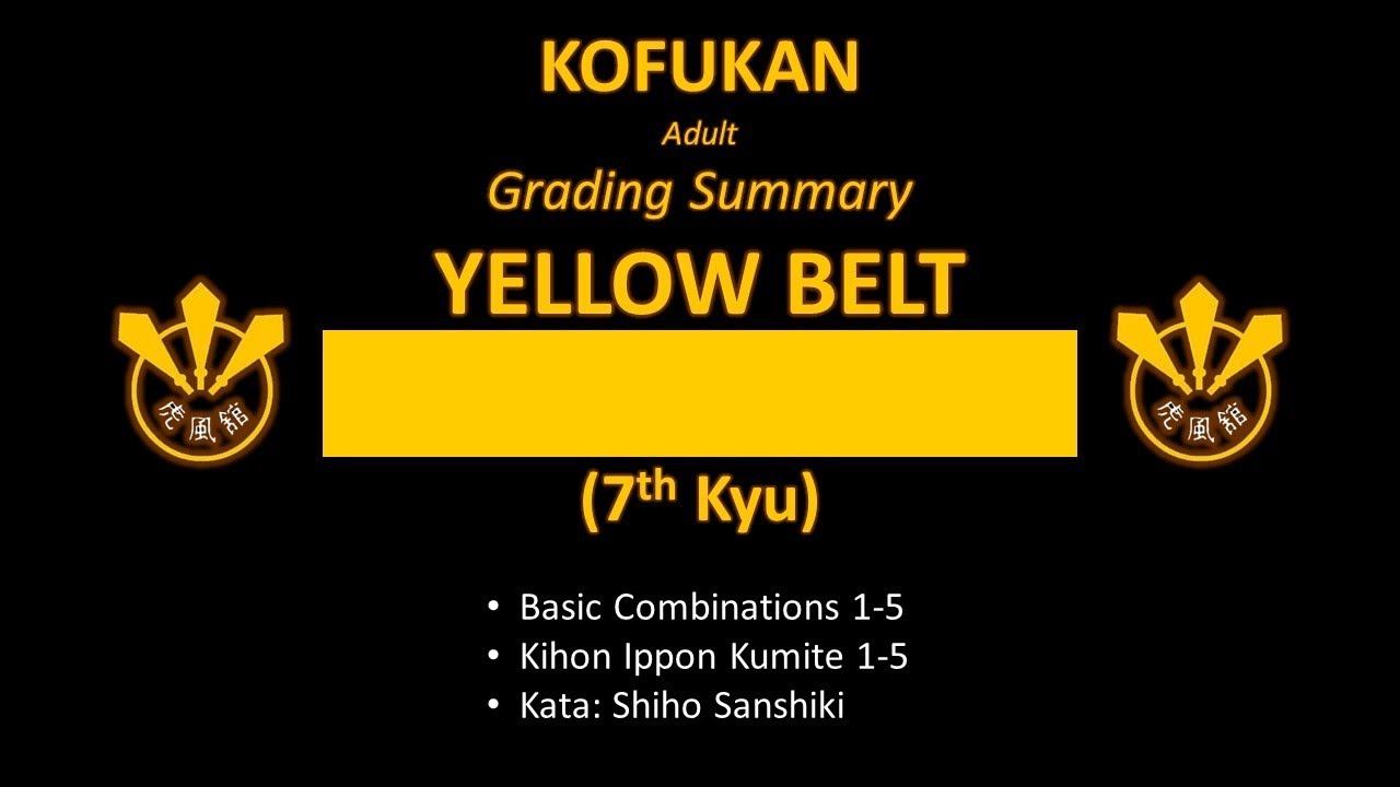 Grading Summary: Yellow Belt (Adult)