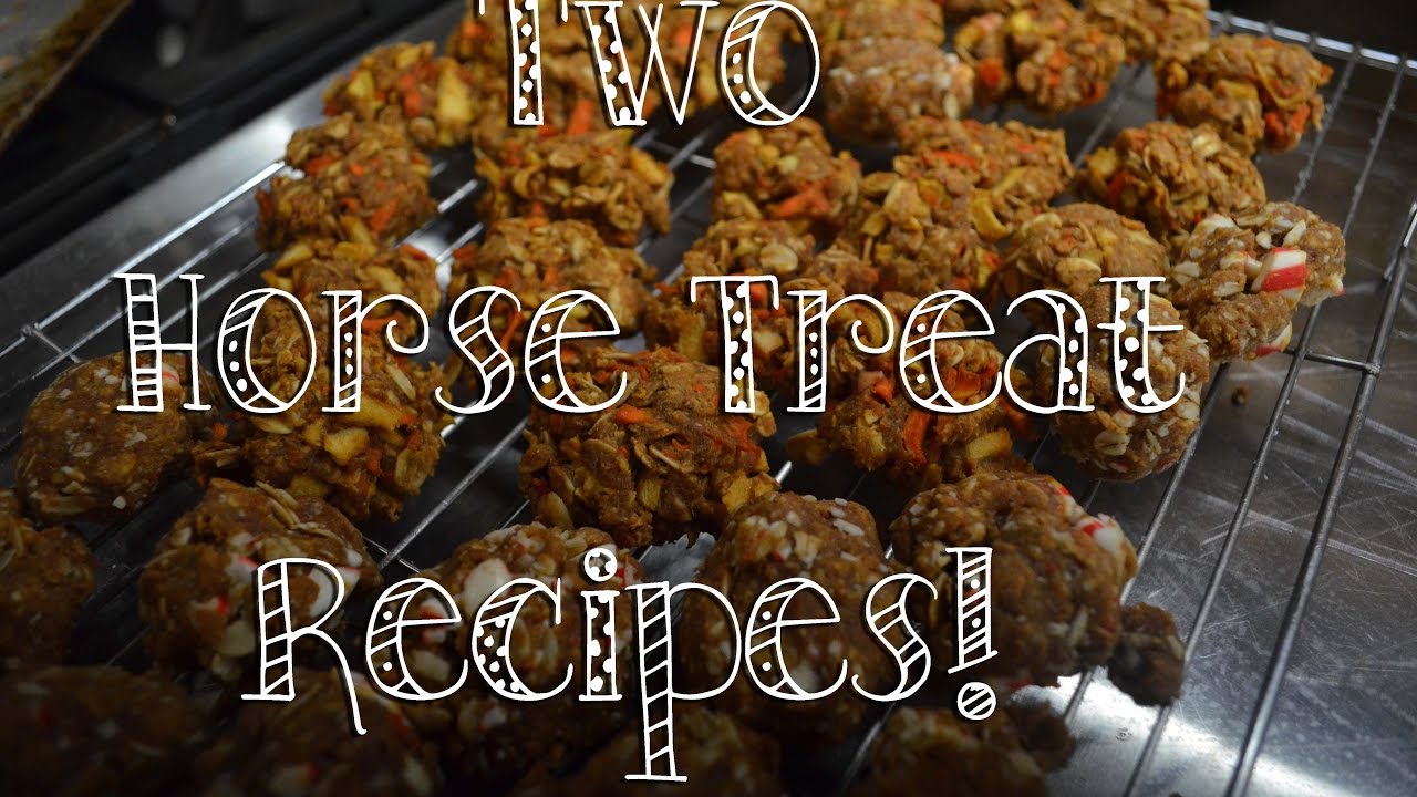 TWO Horse Treat Recipes! | EquestrianBliss