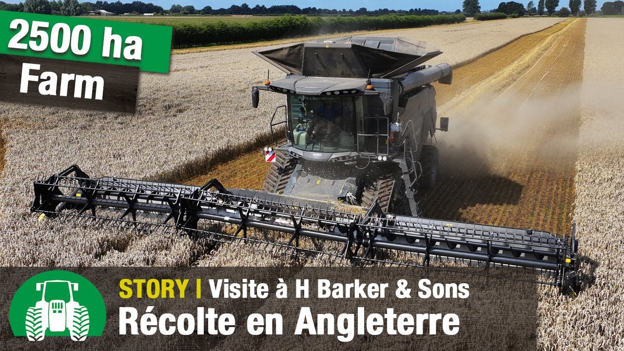 La période des récoltes chez H Barker & Sons | Moissonneuses-batteuses Fendt Ideal | Angleterre