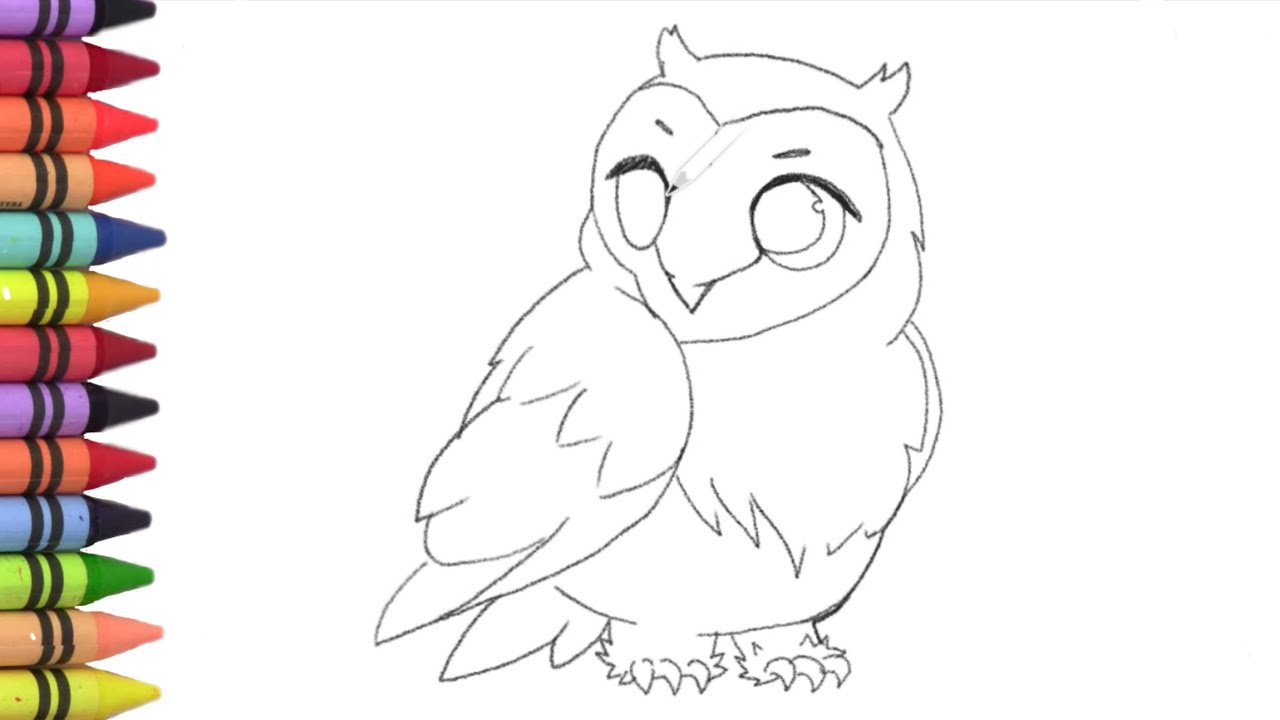 menggambar, melukis dan mewarnain burung hantu imut