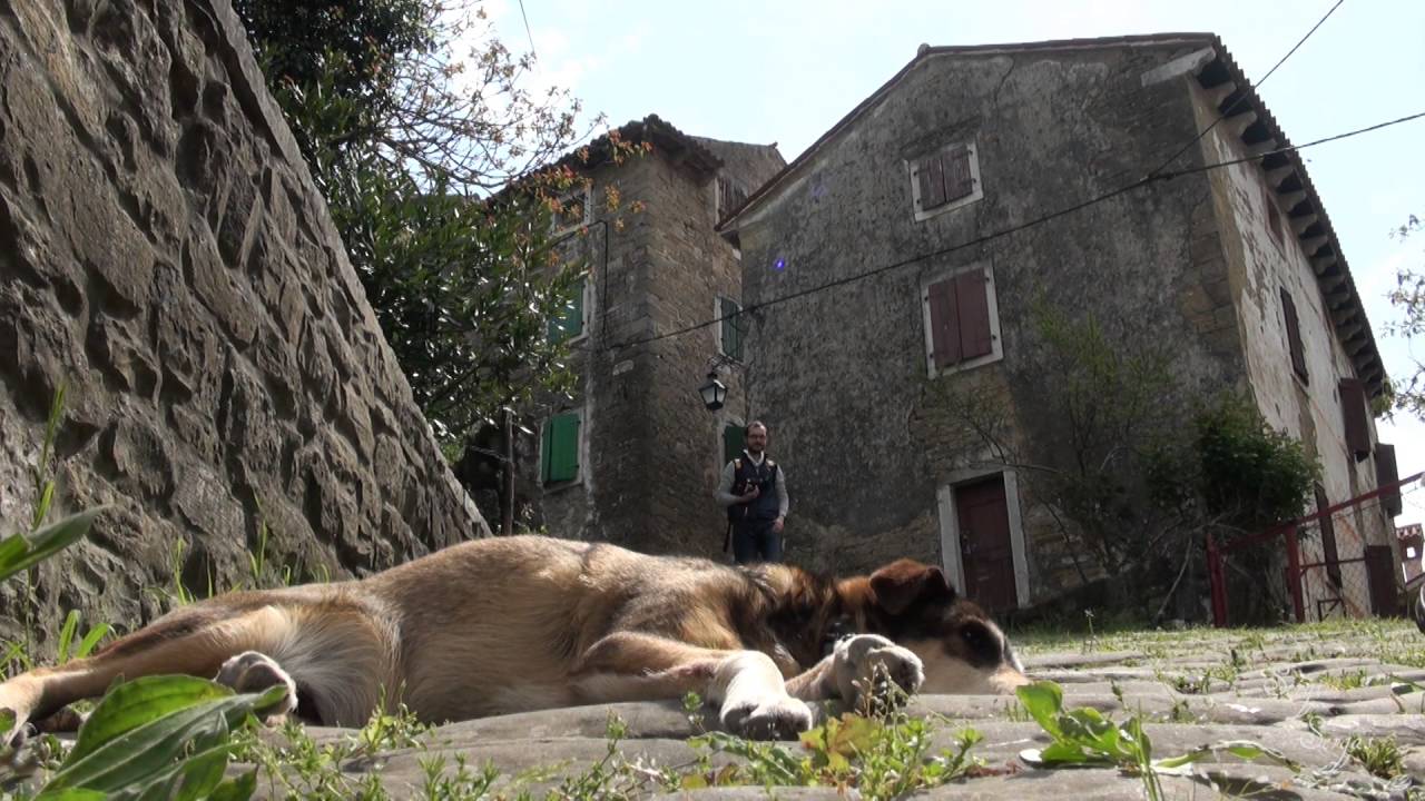 PIEMONTE D'ISTRIA