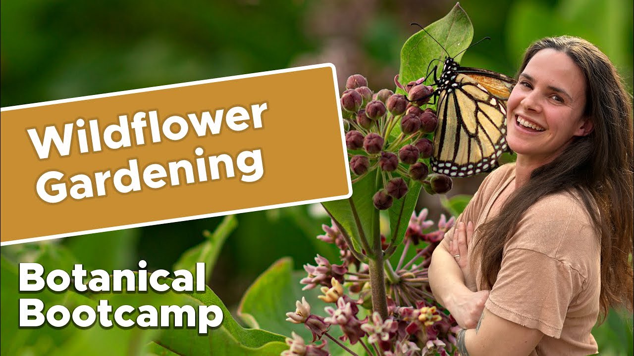 Wildflower gardening! | Bates Botanical Bootcamp