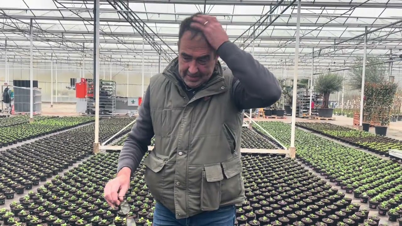 De kweek van kwekerij Knippenberg-Eijkenboom is begonnen.