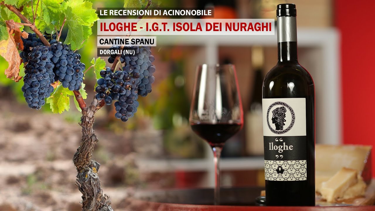 Iloghe | Cannonau 70%, Bovale & Cagnulari | I.G.T. Isola dei Nuraghi | Cantine Spanu | Sardegna