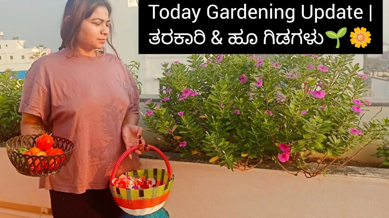 Today Gardening Update | ತರಕಾರಿ & ಹೂ ಗಿಡಗಳು🌱🌼 dailyvlog  kannada