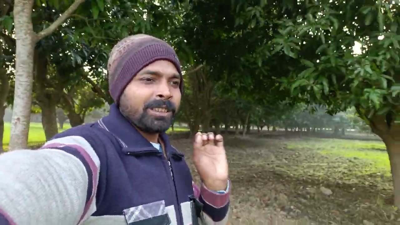 देखिए हमारे गाॅंव का बगीचा कैसा है #sharwankumarvlogs  #vlog  #video  #बगिचा 