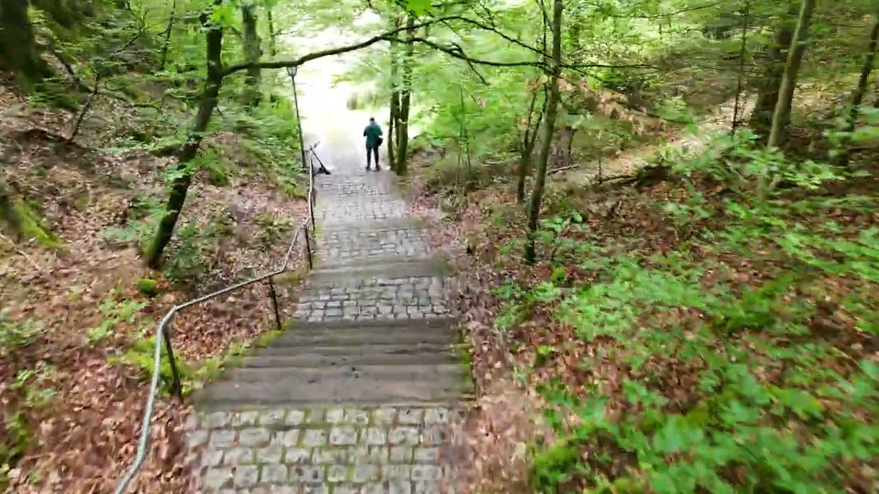 Hidden Paths and Lush Greenery - A Serene Walk Through Nature