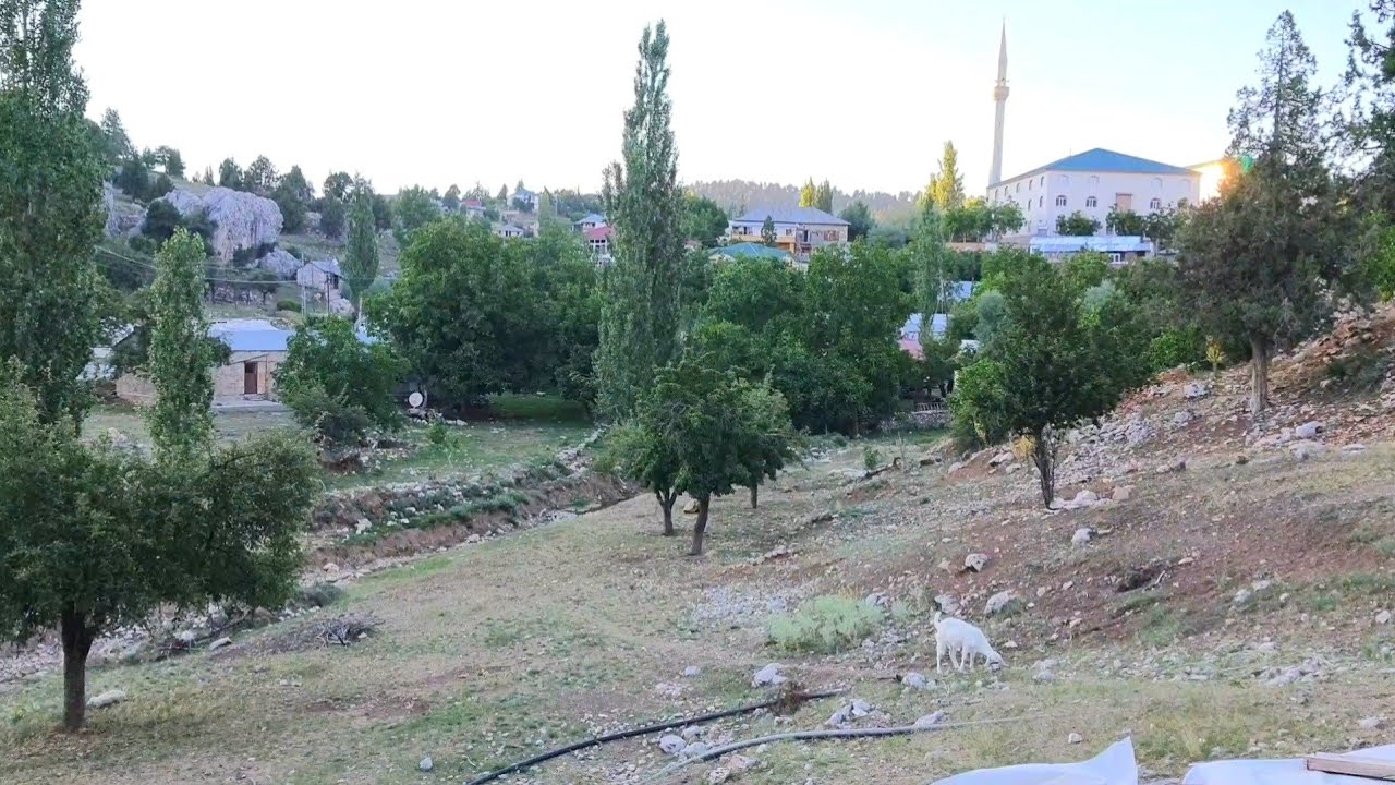 Toros (Küçük Sorgun)köyünün serin havasında bir gün geçirdik🏕buz gibi suyu doğası da bir başka tabi💦