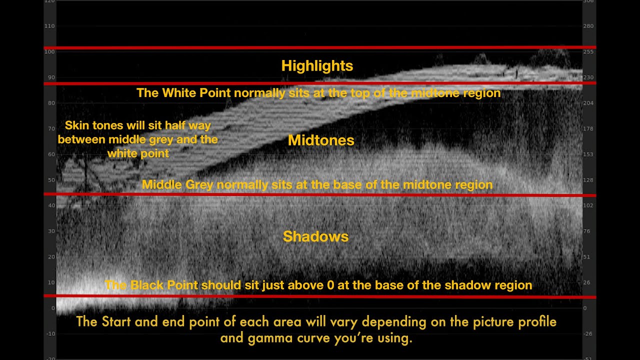 How To Use Waveform Monitors & Zebra Levels