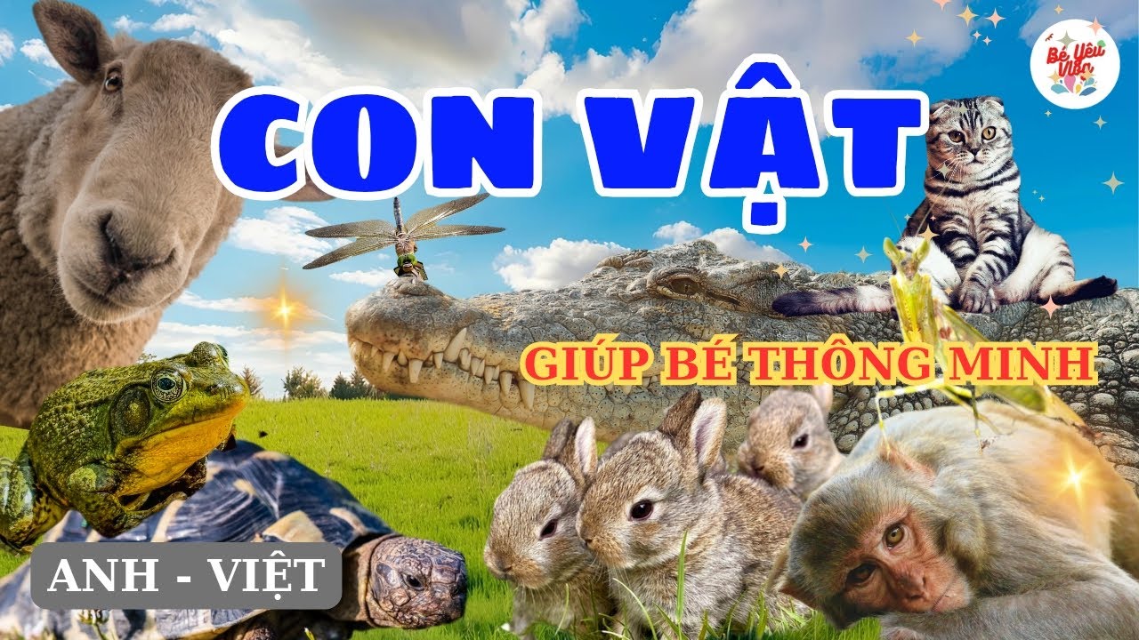 CON VẬT | B&eacute; Học T&ecirc;n v&agrave; Tiếng K&ecirc;u C&aacute;c Con Vật Bằng Tiếng Anh | H&igrave;nh Ảnh Sống Động & &Acirc;m Thanh Thực Tế
