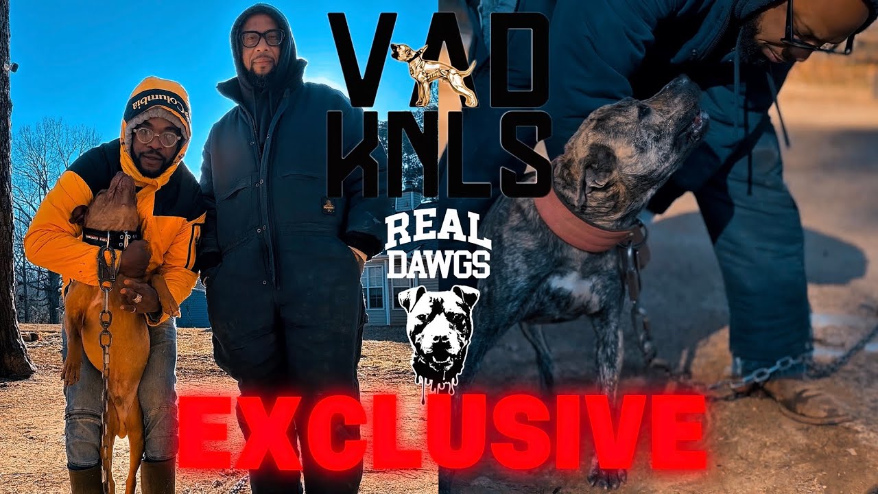 Brickhouse Performance: Inside look at Vad Kennels! (EXCLUSIVE‼️)