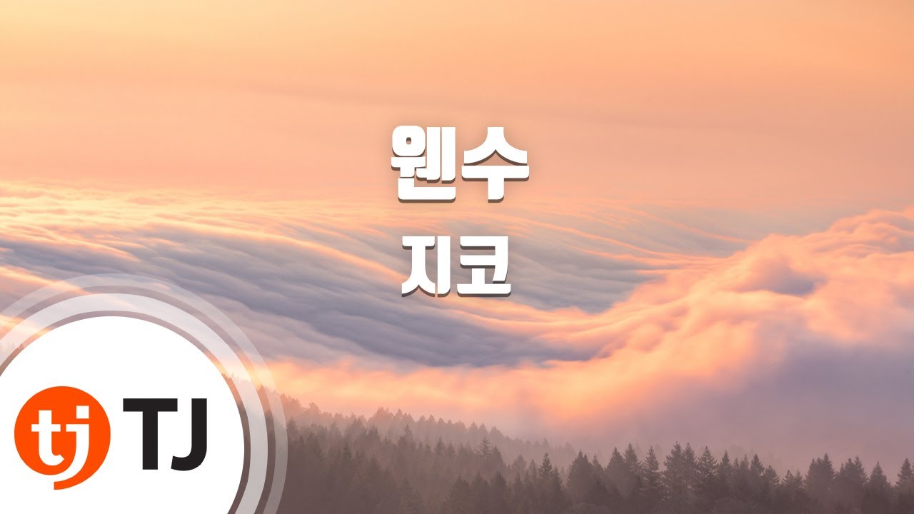 [TJ노래방] 웬수 - 지코(Feat.비비(BIBI)) / TJ Karaoke